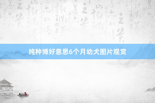 纯种博好意思6个月幼犬图片观赏